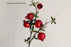 Faux Pomegranate Branch in Dark Red/Orange, Artificial Fruits, Fake Fall Winter Office/Wedding/Home Decorations/Holiday Gifts
