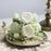 Artificial Rose Flowers 5 Heads White Peony Festival Decor Home Room Vase Wedding Arch Clipping Wreaths Garden Yard Fake Plants