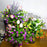 1 PC Artificial Plastic Flowers Fake Eucalyptus Plant Wedding Arch Wreath Home RoomOrnamental Flowerpot Festival Scrapbook Decor